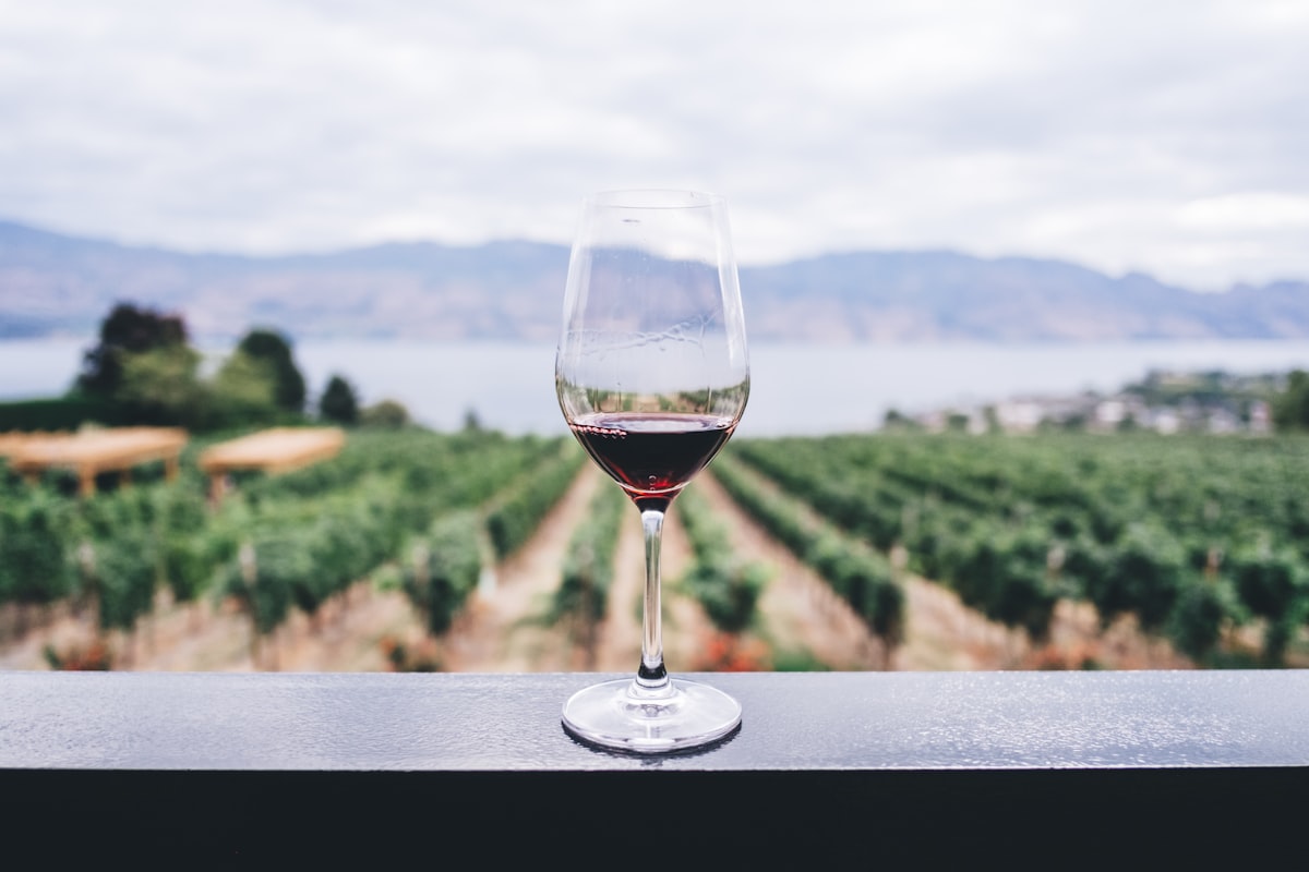 A glass of red wine overlooking rows of Burgundy vineyards
